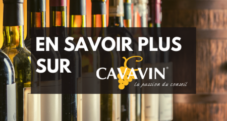 En savoir plus sur CAVAVIN